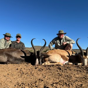 Springbok Combo Hunt South Africa