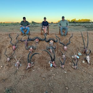 Trophy Hunt South Africa