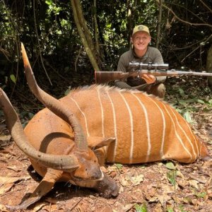 Bongo Hunt Cameroon