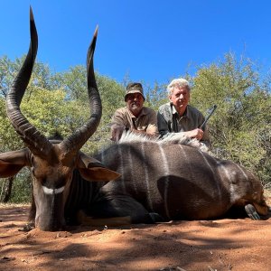 Nyala hunt South Africa
