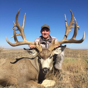 Hunting Mule Deer