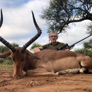 Impala hunt South Africa