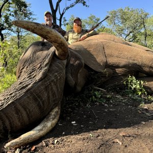 Elephant Hunting Zimbabwe