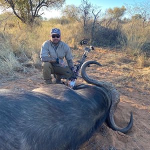 Bow Hunt Cape Buffalo South Africa