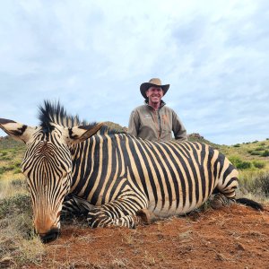 Hartmann's Zebra Hunt South Africa