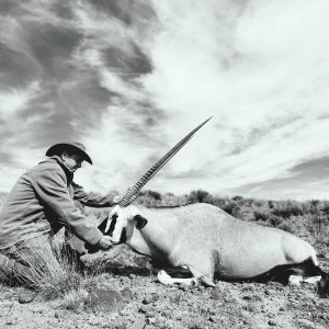 Gemsbok Hunt South Africa