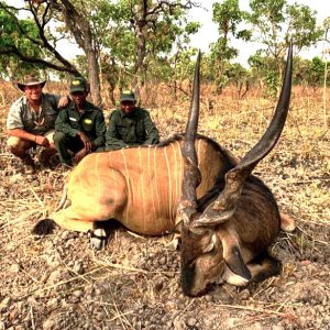 Lord Derby Eland Hunt Cameroon