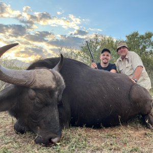 Buffalo Cow hunt