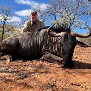 Blue Wildebeest Hunt South Africa