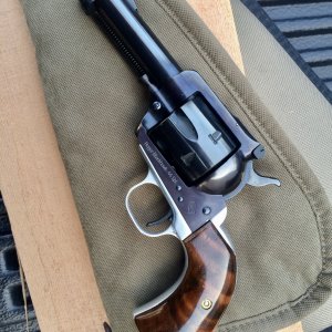 Ruger Blackhawk Handgun
