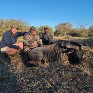 Blue Wildebeest Hunt South Africa