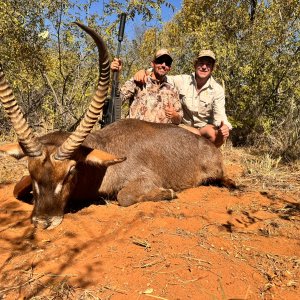 Waterbuck Hunt South Africa