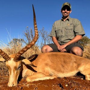 Impala Hunt South Africa