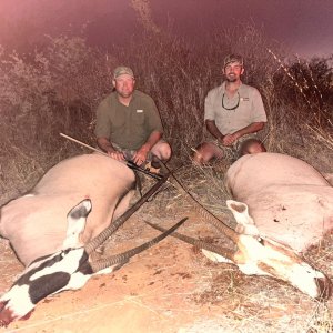 Oryx & Golden Oryx Hunt South Africa