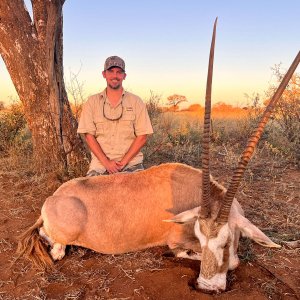 Golden Oryx Hunt South Africa