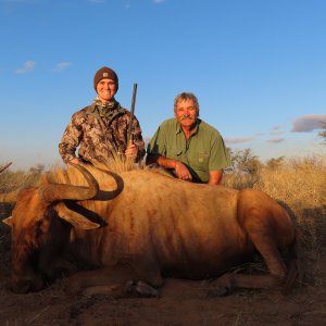 Golden Wildebeest Hunt Kalahari South Africa