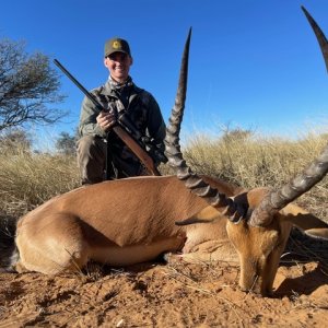 Impala Hunt Kalahari South Africa