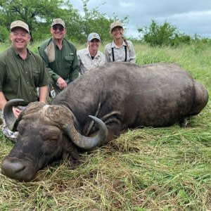 Buffalo Hunt KwaZulu-Natal South Africa