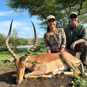 Impala Hunt KwaZulu-Natal South Africa