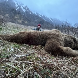 Bear Hunting