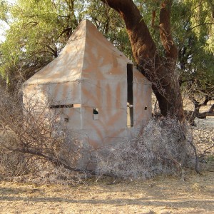 Bowhunting Blind Namibia