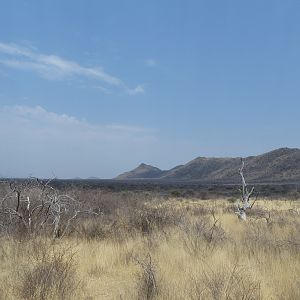Ozondjahe Hunting Safaris Namibia