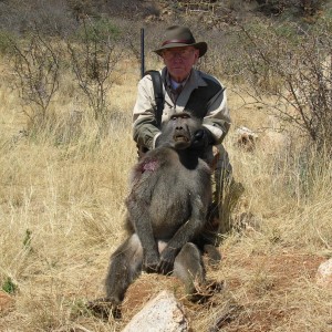 Hunting Chacma Baboon Namibia