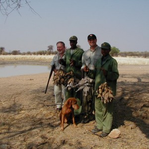 Bird Hunting Namibia Africa