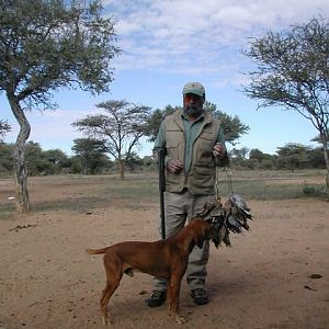 Bird Hunting Namibia Africa