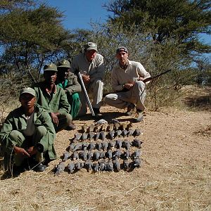 Bird Hunting Namibia Africa