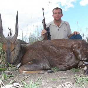 Bushbuck