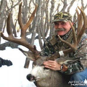Hunting Mule Deer Buck