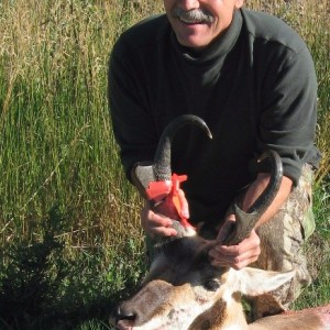 Hunting Pronghorn Antelope Colorado