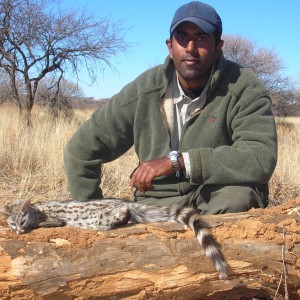 Hunting Genet in Namibia