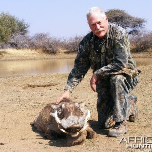 Bowhunting Warthog in Namibia