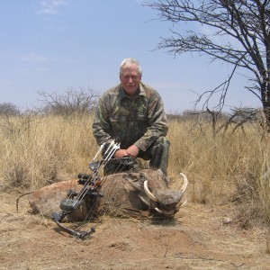 Bowhunting Warthog in Namibia