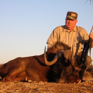 Hunting Black Wildebeest in Namibia