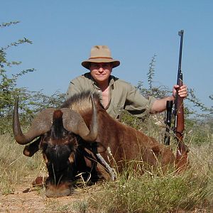 Hunting Black Wildebeest in Namibia