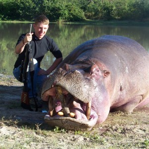 Hippo - Zambezi Valley - Nyakasanga Controlled Safari Area