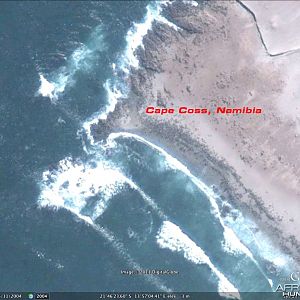Google Earth Satellite Imagery of Cape Cross in Namibia