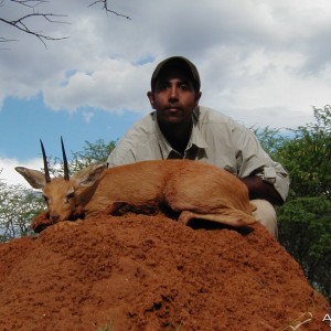 Hunting Steenbok in Namibia