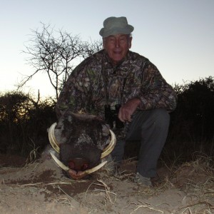 Hunting Warthog in Namibia