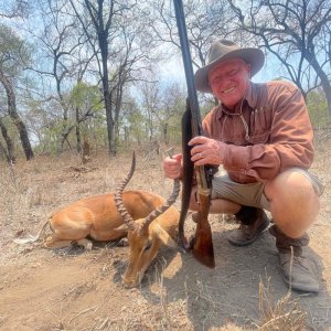 Impala Hunt Zimbabwe