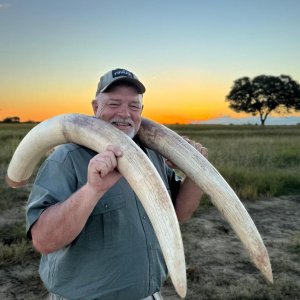 Elephant Hunting Zimbabwe