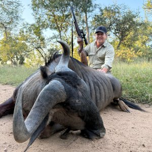 Blue Wildebeest Hunt South Africa