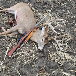Whitetail Deer Hunt