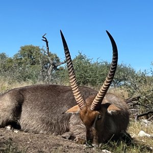 Waterbuck Hunt Botswana