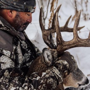 Whitetail Deer Hunt