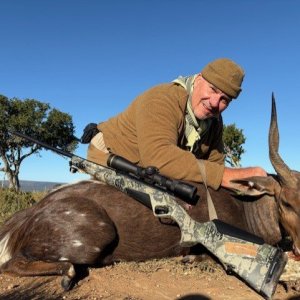 Bushbuck Hunt South Africa