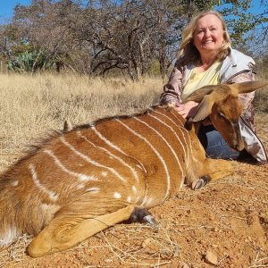 Nyala Ewe Hunt South Africa